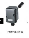 F63Һλ_P